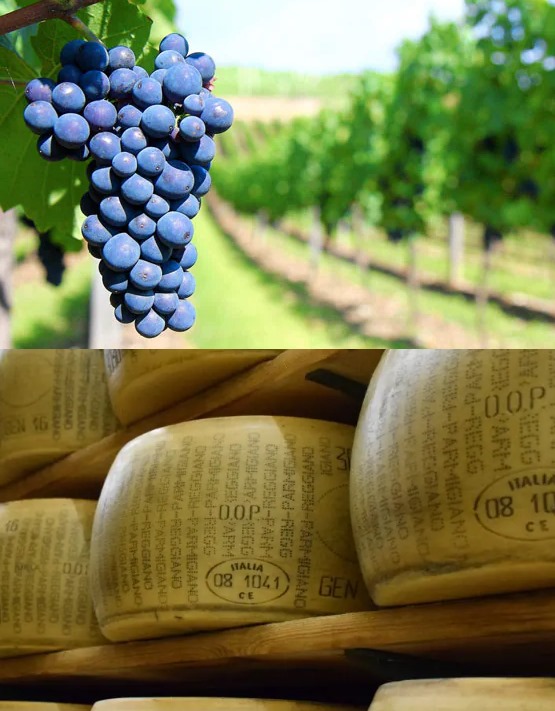 grapes and cheese to advertise Parma food and wine tours