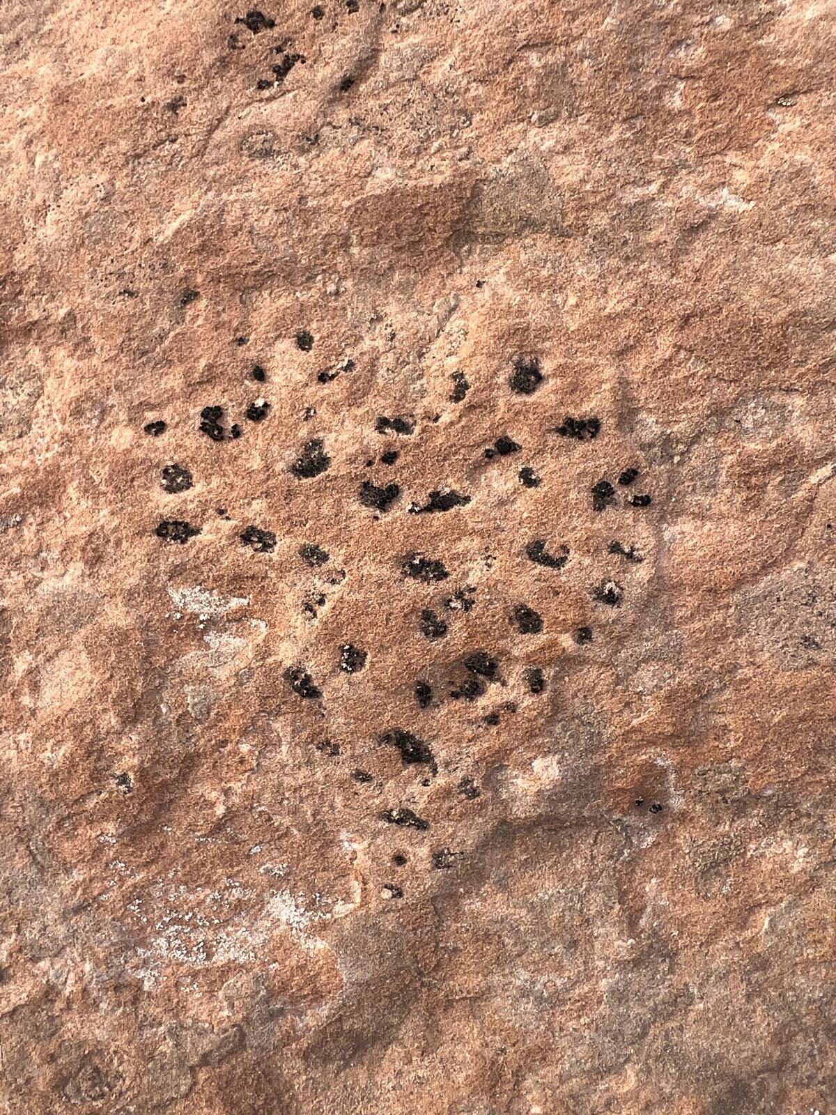 Elsie's of Moab, Jailhouse cafe Moab Utah., NGS Brand design